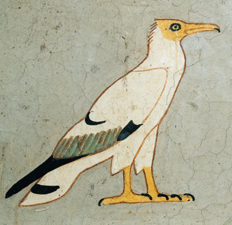 Collection 103+ Images in egyptian mythology the vulture is sacred to which goddess Latest
